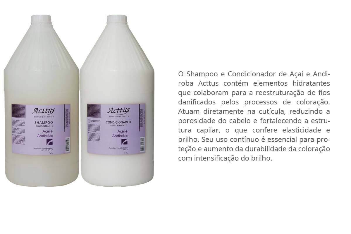 Açaí e Andiroba